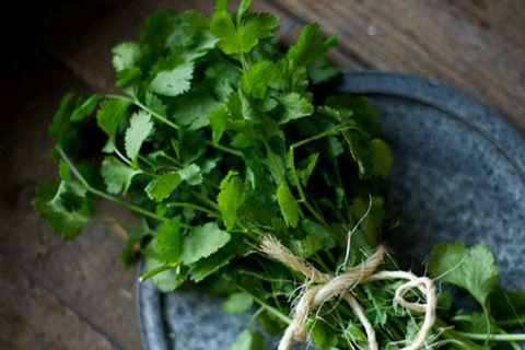 List of herbs used in cooking: The ultimate taste enhancer